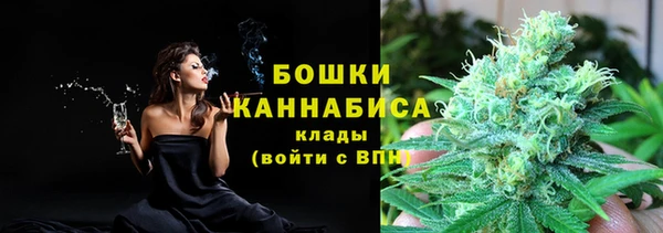 хмурый Абаза