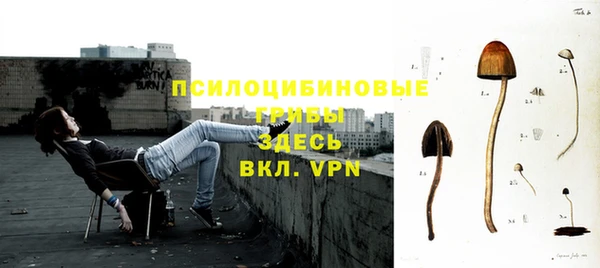 хмурый Абаза