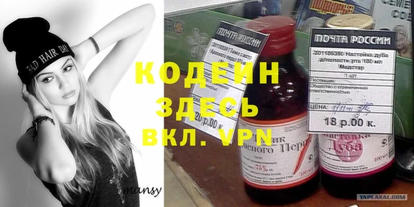 хмурый Абаза